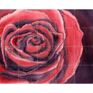 IXXI Red Rose, Natalie Bruns - 100 x 80 cm - Gratis ophangtool - Grote wanddecoratie en posters - Aquarel, Kleurrijk, Eetkamer, Woonkamer, Slaapkamer
