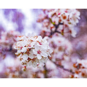 IXXI Spring Flowers, Margriet Hulsker - 100 x 80 cm - Gratis ophangtool - Grote wanddecoratie en posters - Fotografie, Slaapkamer, Woonkamer, Bloemen