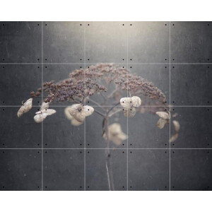 IXXI White Hydrangea, Takashi Suzuki & Various - 100 x 80 cm - Gratis ophangtool - Grote wanddecoratie en posters - Fotografie, Woonkamer, Slaapkamer