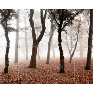 IXXI Whispering, Claire Droppert - 100 x 80 cm - Gratis ophangtool - Grote wanddecoratie en posters - Naturalisme, Fotografie, Realisme, Woonkamer