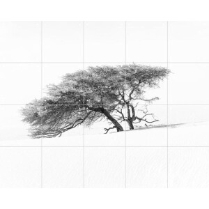 IXXI Tree in Sahara Desert, Photolovers - 100 x 80 cm - Gratis ophangtool - Grote wanddecoratie en posters - Minimalistisch, Fotografie, Slaapkamer