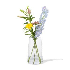 HEMA HEMA Vaas 30cm Glas (transparant)