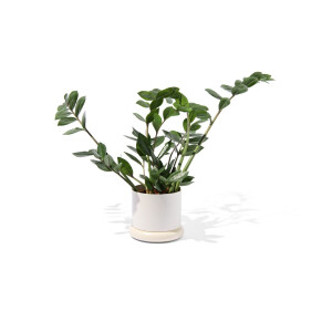 HEMA HEMA Bloempot Ø15.5x12cm Metaal Wit (wit)
