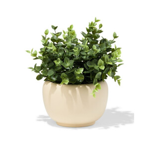 HEMA HEMA Bloempot ⌀10x10.4cm Keramiek Crème (creme)
