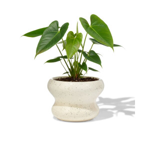 HEMA HEMA Bloempot ⌀13x9cm Keramiek Blob Spikkel Wit (wit)