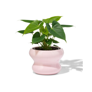 HEMA HEMA Bloempot ⌀13x9cm Keramiek Blob Spikkel Roze (roze)