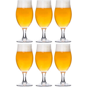 Bormioli Rocco Bierglas Executive - 260 ml - 6 stuks