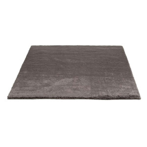 Leen Bakker - Vloerkleed Teddy - 160x230 Cm - Polyester - Taupe