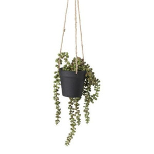 Hangplantje in pot - zwart - 9x9x70 cm