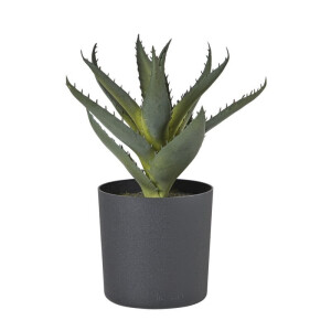 Kunstplant aloe vera in pot - groen/zwart - 25 cm