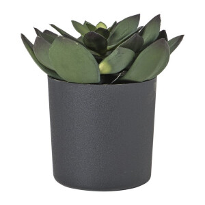Kunstplant vetplant in pot - groen/zwart - 25 cm