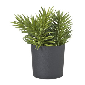 Kunstplant conifeer in pot - groen/zwart- 25 cm