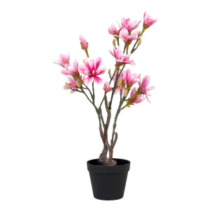 Kunst Magnolie | House Nordic