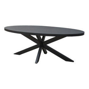 Livingfurn Ovale Eettafel 'Kala' Mangohout, 160 x 90cm