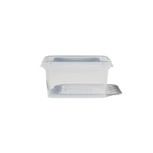 HEMA HEMA Opbergdoos Met Deksel 1.2L Dublin Transparant 18x12x10 (transparant)