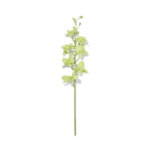 HEMA HEMA Kunstbloem Dendrobium 55cm Rubber Groen (groen)
