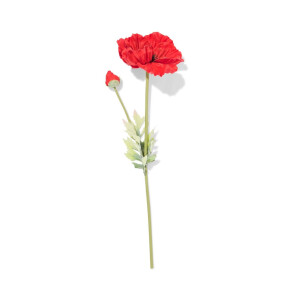 HEMA HEMA Kunstbloem Klaproos 55cm Rubber Rood (rood)