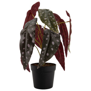 HEMA HEMA Kunstplant Begonia Met Stippen (groen)