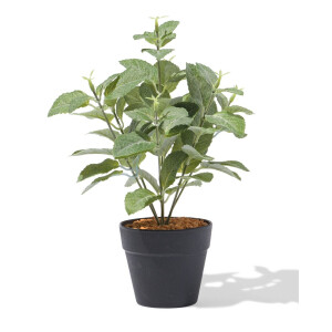 HEMA HEMA Kunstplant ⌀10x10cm Rechtop (groen)