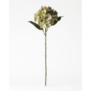 HEMA HEMA Kunstbloem Hortensia 55cm Groen (groen)