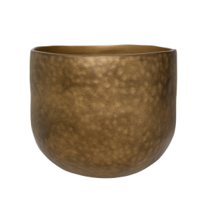 Pot Oro | Urban Nature Culture