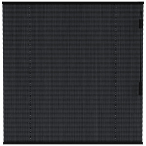 25% korting - Leen Bakker - Fenstr Plisségordijn Lille Enkel 20mm Transparant - (15017) - Polyester - Zwart - 120x10x10 Cm