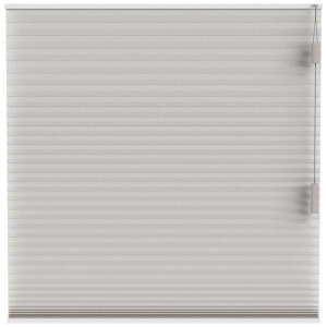 Leen Bakker - Fenstr Plisségordijn Chicago Dubbel 25mm Lichtdoorlatend - Linnen (25510) - Polyester - Taupe - 120x10x10 Cm