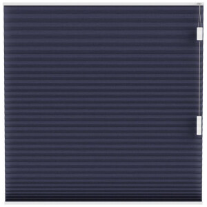 Leen Bakker - Fenstr Plisségordijn Chicago Dubbel 25mm Lichtdoorlatend - Donker (35506) - Polyester - Blauw - 120x10x10 Cm