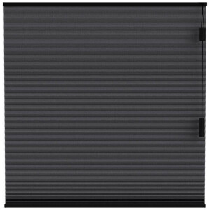 Leen Bakker - Fenstr Plisségordijn Toronto Dubbel 25mm Lichtdoorlatend - (15021) - Polyester - Zwart - 120x10x10 Cm