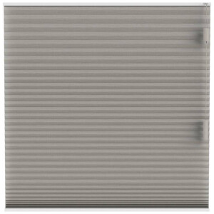 Leen Bakker - Fenstr Plisségordijn Chicago Dubbel 25mm Verduisterend - (30022) - Polyester - Taupe - 120x10x10 Cm