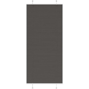 vidaXL - Plissé - rolgordijn - 100x200 - cm - stofbreedte - 99,4cm - polyester - zwart