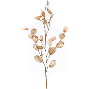 Emerald - Kunstbloem Judaspenning 105cm bruin - Kunstplant voor binnen