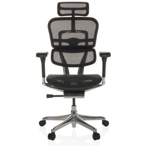 Bureaustoel / Directiestoel ERGOHUMAN GEN2 Netstof zwart hjh OFFICE