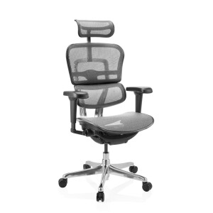 ERGOHUMAN ULTRA GEN2 | net - Luxe directiestoel Grijs