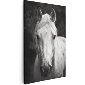 Artaza Canvas Schilderij Wit Paard voor de Camera - Dieren - 40x60 cm - Wanddecoratie Woonkamer - Schilderijen - Muurdecoratie