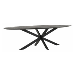 DTP Home Ovale Eettafel 'Shape' Teakhout, 280 x 120cm, kleur Zwart