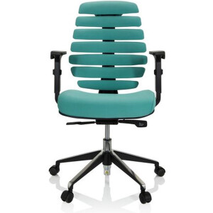 Ergonomische bureaustoel 101 model Ruggengraatstoel in Turquoise