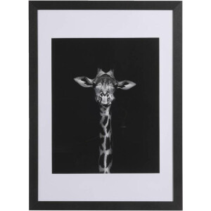 Leen Bakker - Fotolijst Haarlem - 50x70 Cm - MDF/Glas - Zwart