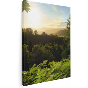 Artaza Canvas Schilderij Zonsondergang Vanuit Een Bos - 60x80 - Foto Op Canvas - Canvas Print
