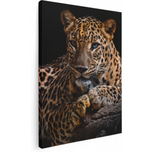 Artaza Canvas Schilderij Luipaard Met Blauwe Ogen - 60x80 - Foto Op Canvas - Canvas Print