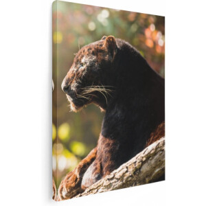 Artaza Canvas Schilderij Zwarte Panter Vanaf De Zijkant - 60x80 - Foto Op Canvas - Canvas Print