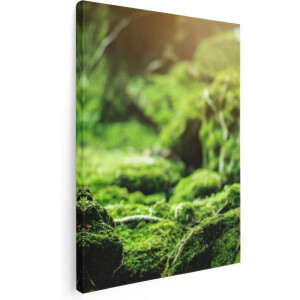 Artaza Canvas Schilderij Bos - 30x40 cm - Klein - Wanddecoratie Mos - Muurdecoratie Landschap - Kamer Accessoires