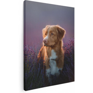 Artaza Canvas Schilderij Hond - 60x80 cm - Wanddecoratie Lavendel - Muurdecoratie Woonkamer - Schilderijen Op Canvas