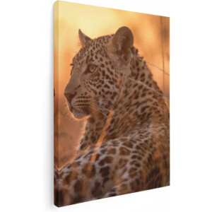 Artaza Canvas Schilderij Luipaard Rust In De Zon - 60x80 - Foto Op Canvas - Canvas Print