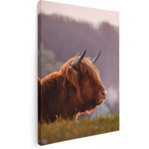 Artaza Canvas Schilderij Schotse Hooglander Koe Ligt In Het Gras - 60x80 - Foto Op Canvas - Canvas Print