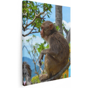 Artaza Canvas Schilderij Aap In De Boom - 60x80 - Foto Op Canvas - Canvas Print