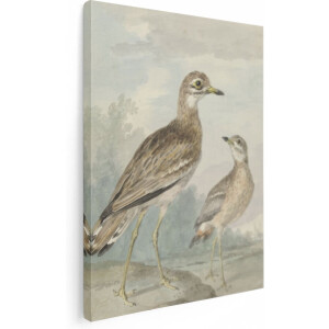 Artaza Canvas Schilderij Twee Grielen - Aert Schouman - 90x120 - Groot - Kunst - Wanddecoratie Woonkamer