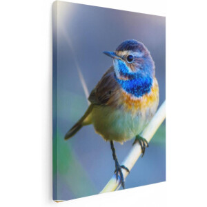 Artaza Canvas Schilderij Vogel - 60x80 cm - Wanddecoratie Vogels - Muurdecoratie Natuur - Schilderijen Op Canvas Woonkamer