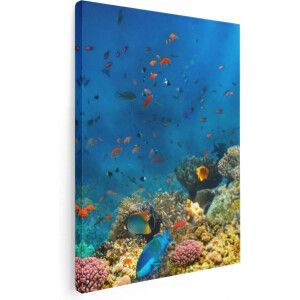 Artaza Canvas Schilderij Onderwater Vissen Met Koraal In De Zee - 30x40 - Klein - Foto Op Canvas - Canvas Print