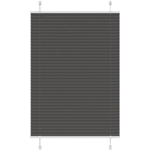 vidaXL - Plissé - rolgordijn - 95x100 - cm - stofbreedte - 94,4 - cm - polyester - zwart